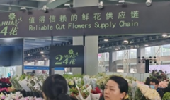 花城新花样!2025广州国际花艺节暨亚洲花卉产业博览会将于